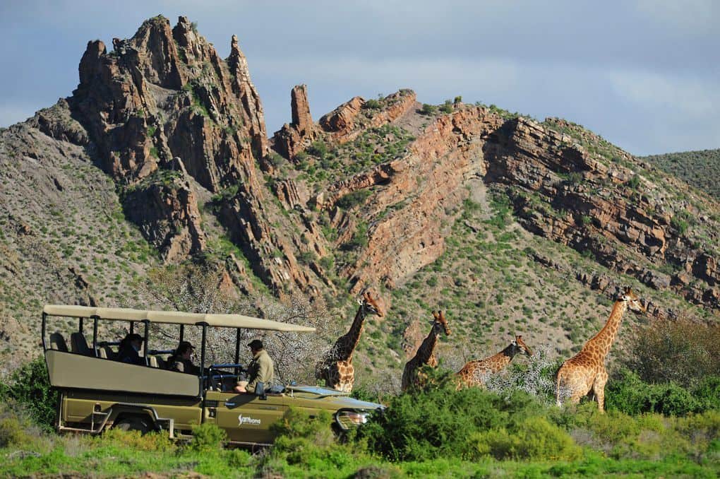 Sanbona Wildlife Reserve Montagu Cape Town