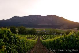 Cape Town Wine Route - Constantia Valley in The Heart of The City