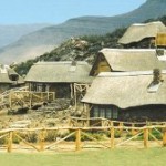 safari in Cape Town