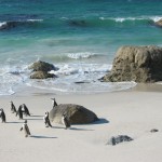 Cape Town holiday