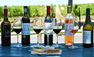 wine tours in cape town