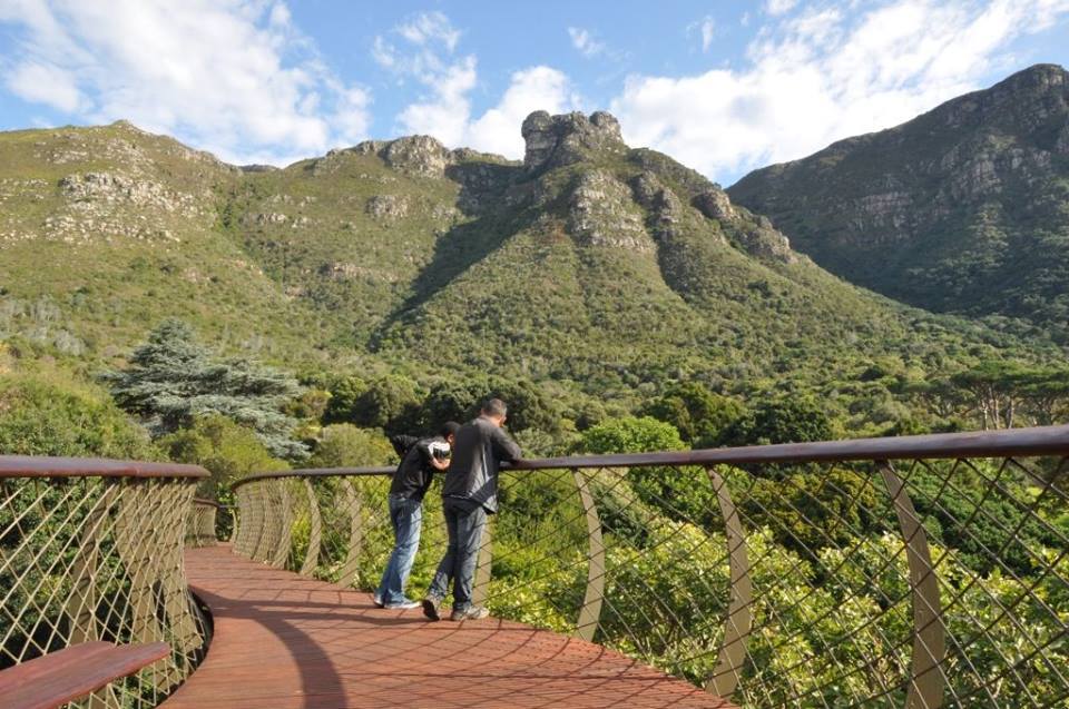 The Canopy Walkway at Kirstenbosch Gardens is finally finished!