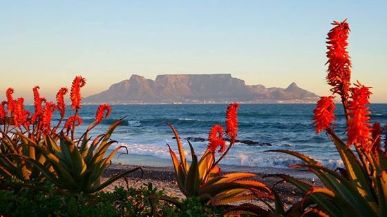 Life in Cape Town never gets old, especially with a view like this! 