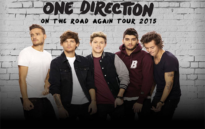 One Direction in Cape Town 2015