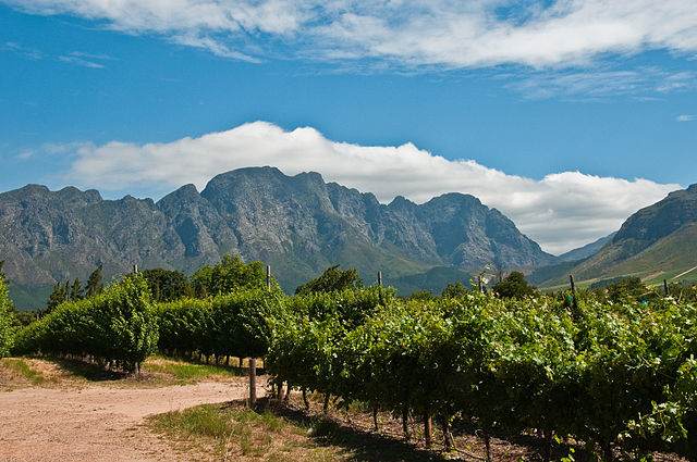 More Things to Do in Cape Town in Winter