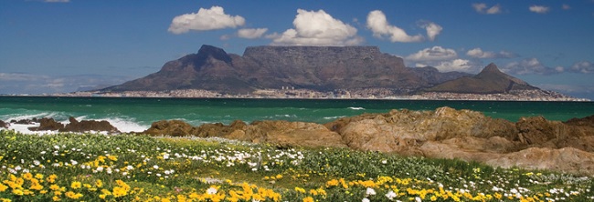 Experience Cape Town Like a Local This Spring