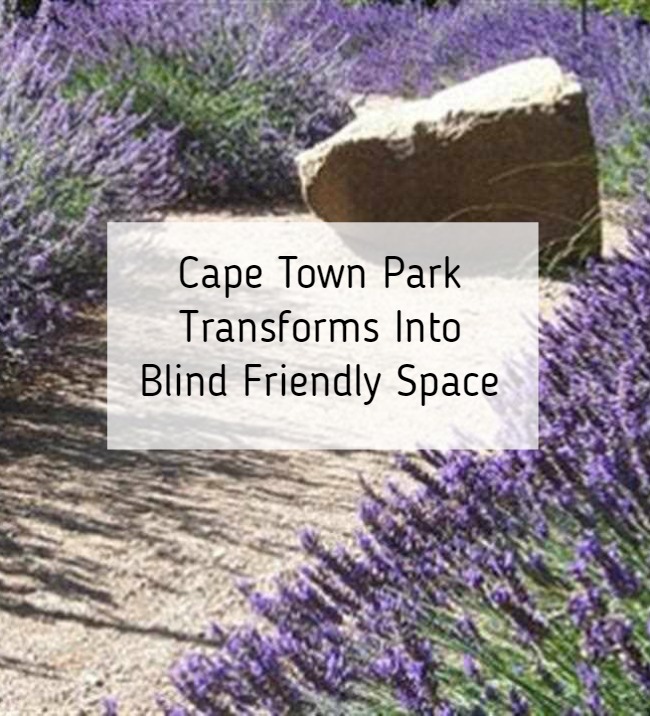 Cape Town Park Transforms Into SA's Only Blind Friendly Park