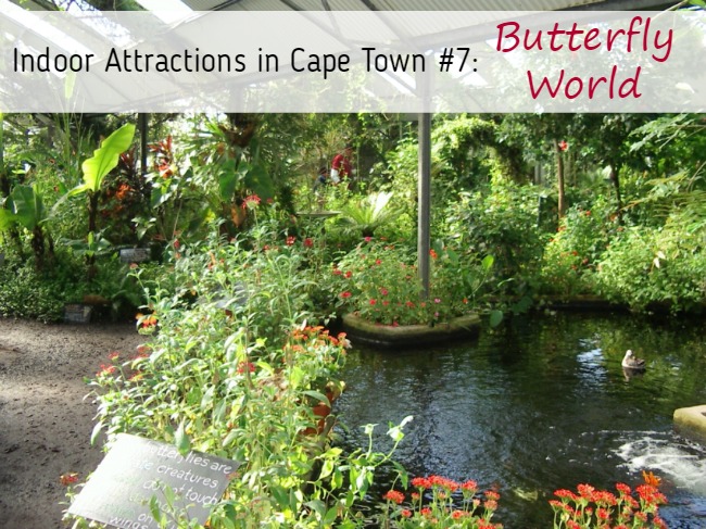 7 Indoor Attractions in Cape Town That Are Great for Rainy Days