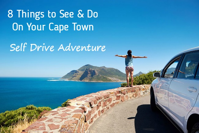 8 Things to See on a Cape Town Self Drive Adventure
