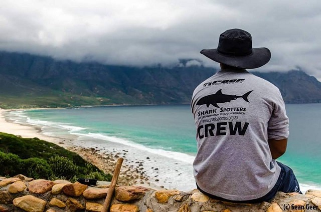 Why We Need the Shark Spotters Mobile App