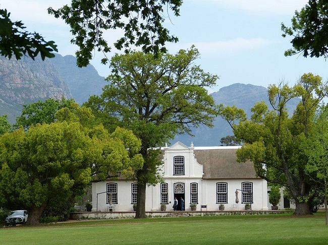 Why Visit the Cape Wine Route? [Part 1]