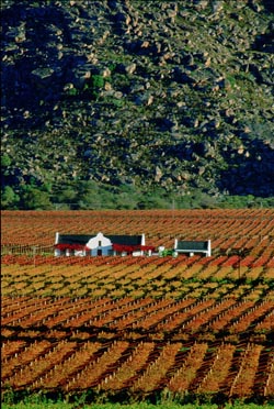 Constantia Valley Cape Town