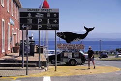 Hermanus Cape Town