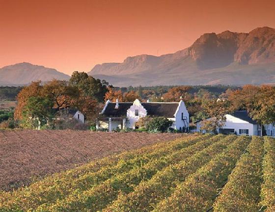 Cape Town stellenbosch wine route