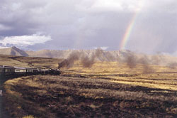 Cape Town Karoo
