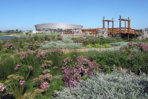 Parks in Cape Town - Take a stroll with us