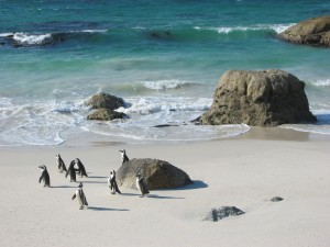 Cape Town holiday