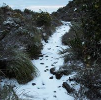 We’re Loving… Snow on Table Mountain!