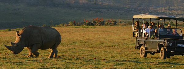 cape safari park prices