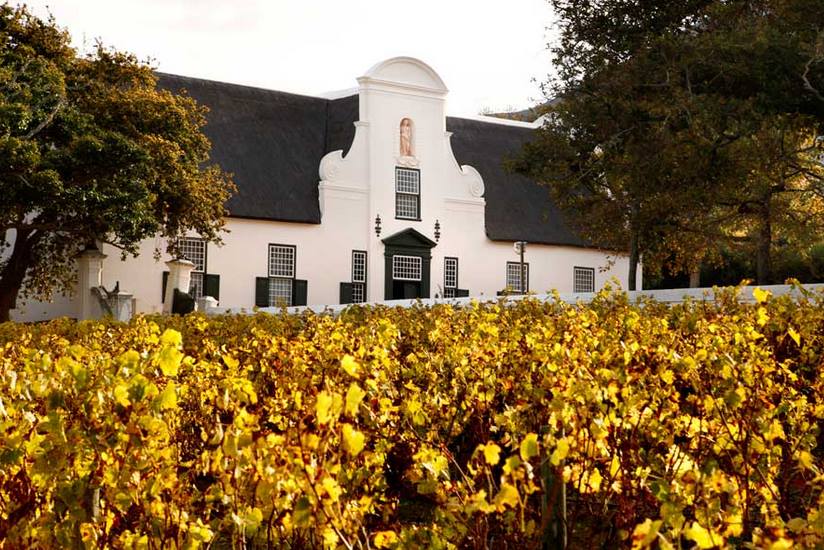 Hotspot of the week - Groot Constantia 