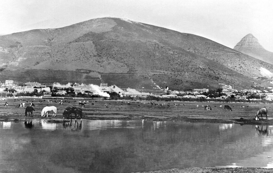 Another oldie - Green Point around 1900