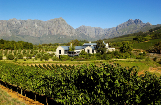 Luxury Classic Car Winelands Tours