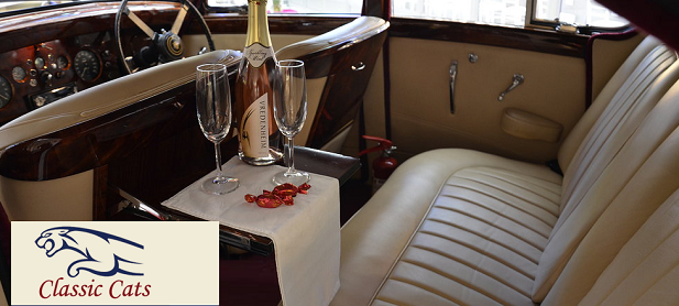 Classic Cats Luxury Wine Tours