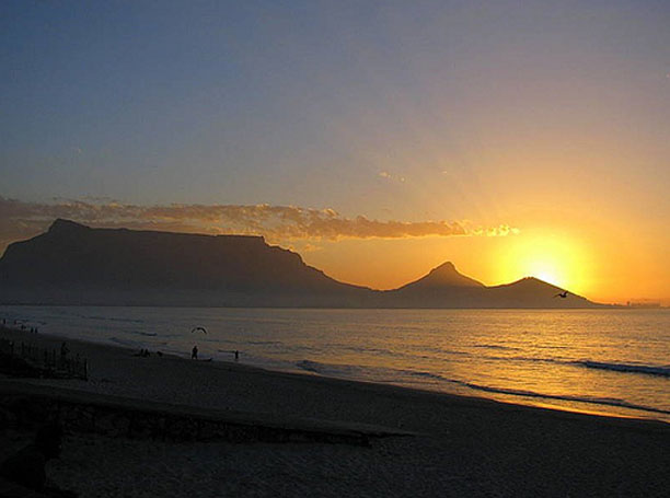 Surviving Cape Town Heatwaves