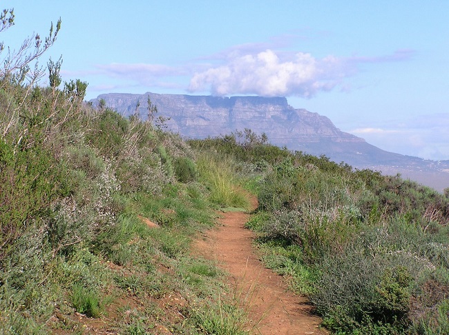 Cape Town Spring Hikes