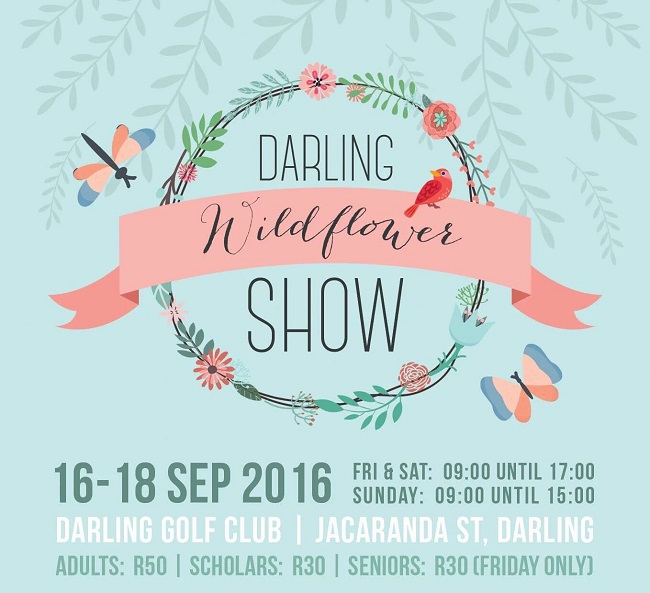 Darling Wildflower Show 2016