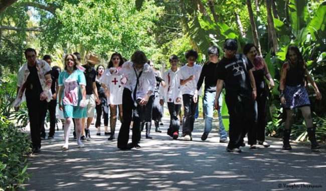 Cape Town Zombie Walk 2016