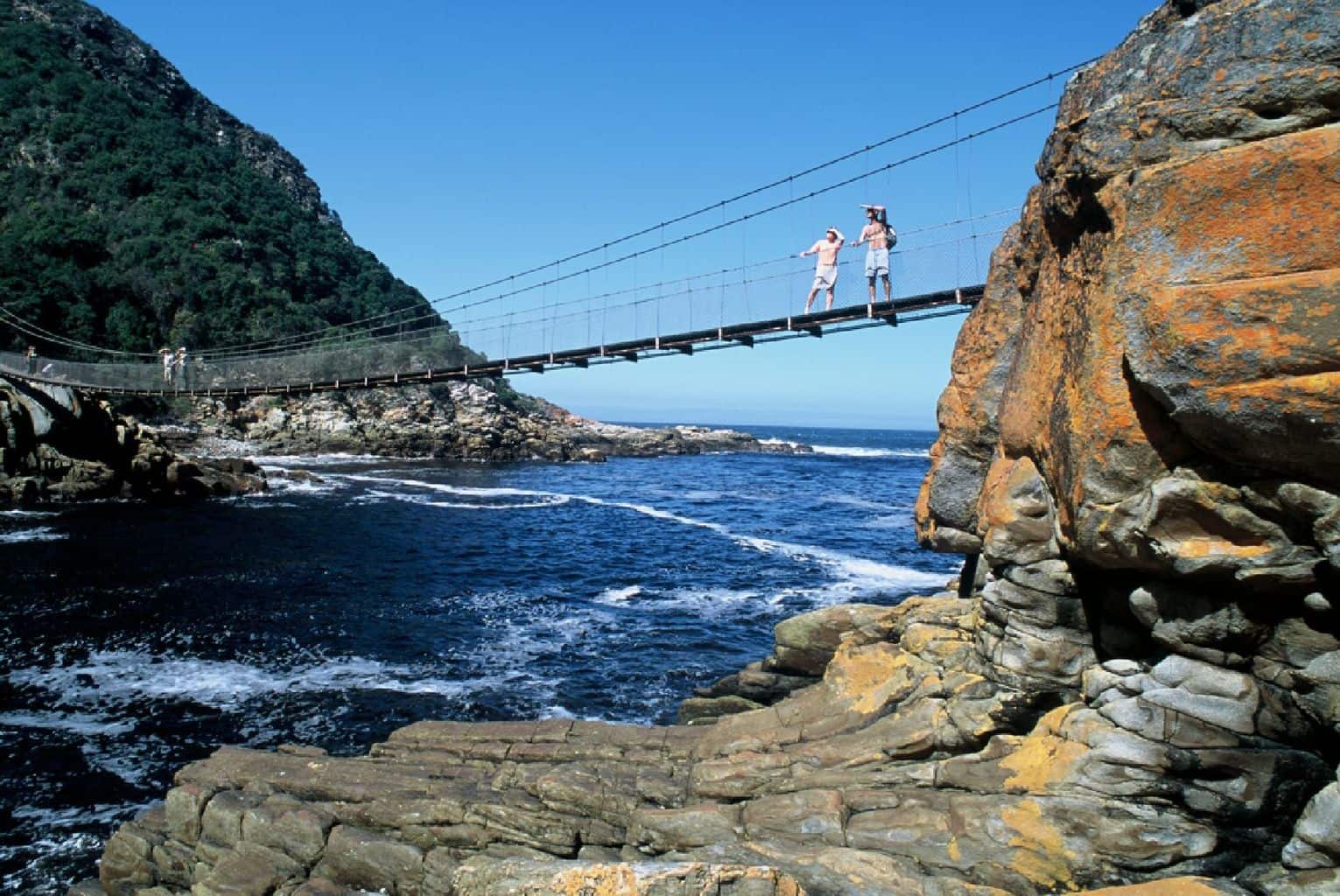 garden route day tours