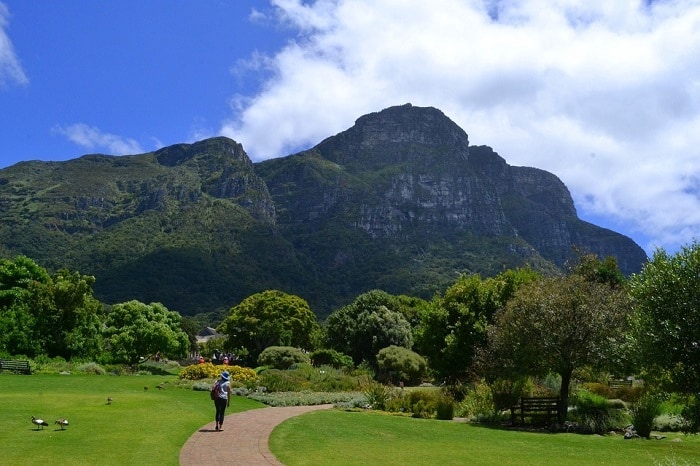 20 Reasons Cape Town Is Quite Possibly The Best City In Africa - Nature