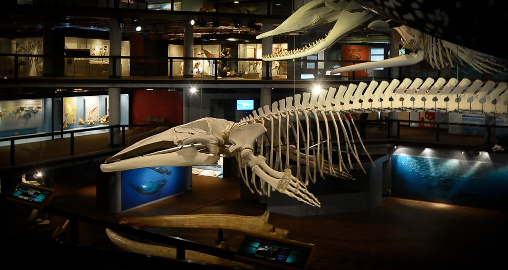 great museums