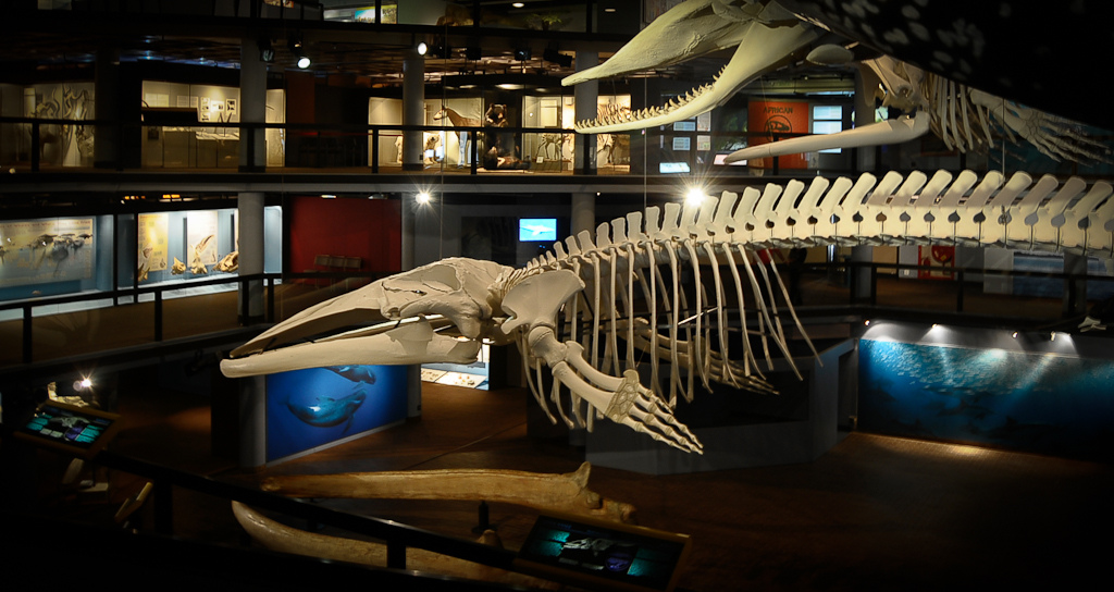 great museums
