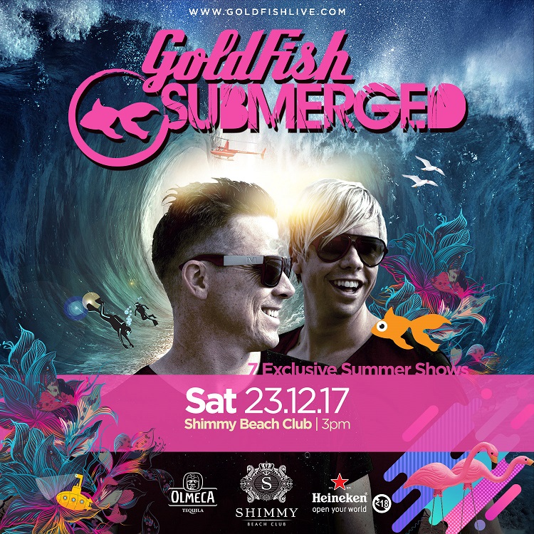  8 Best Things to do in Cape Town This Weekend — 22 - 24 December 2017 - Goldfish Submerged