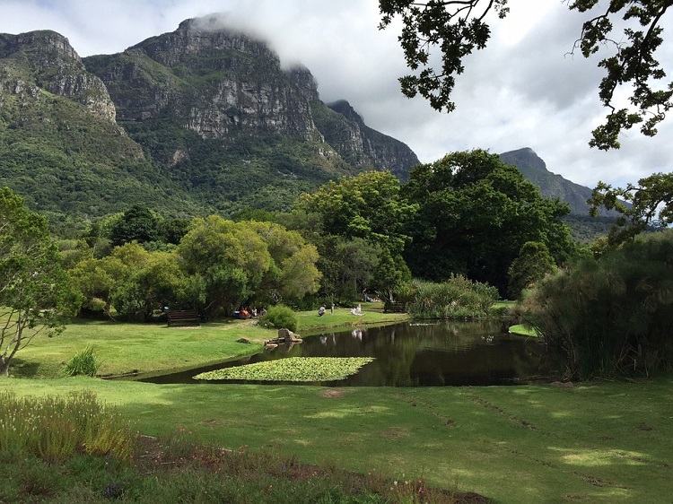 8 Best Things to do in Cape Town This Weekend — 8 -10 December 2017 - Kirstenbosch Botanical Gardens