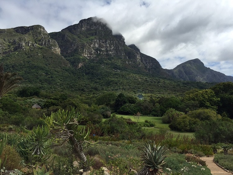 10 Most Romantic Places in Cape Town - Kirstenbosch Botanical Gardens