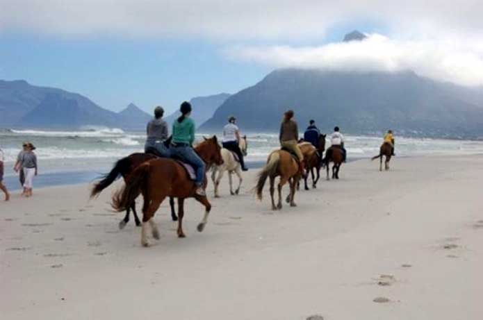 experiences exclusive to Cape Town