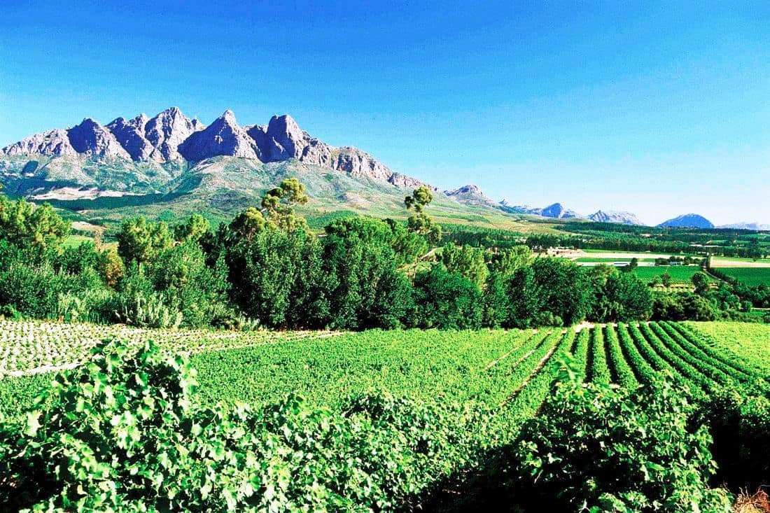 12 things to do for a Cape Town bachelor party ComeToCapeTown