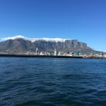 10 Tourist Activities in Cape Town Worth Doing as a Local - Boat Cruise