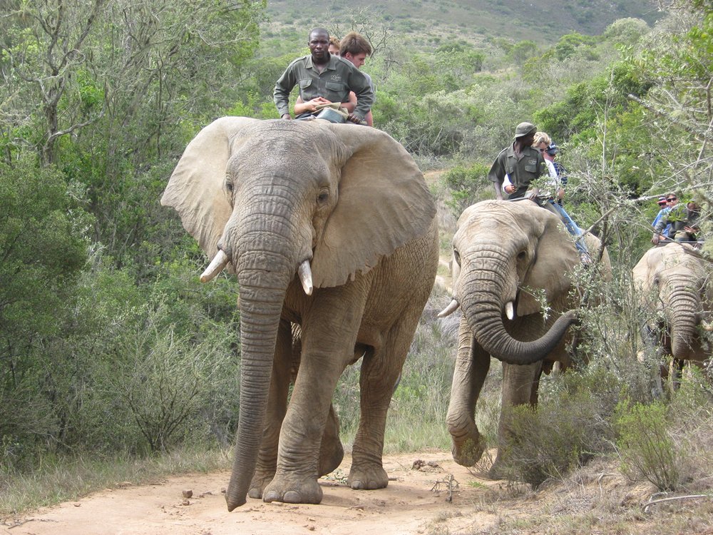 outdoor adventures in South Africa