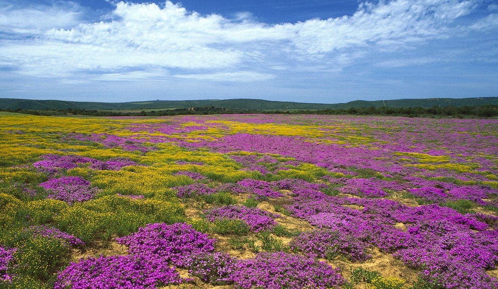 outdoor adventures in South Africa