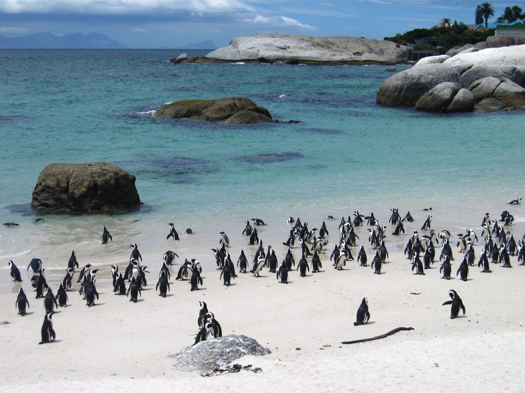 fascinating places in Cape Town