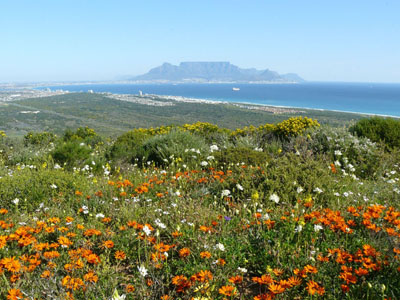 fascinating places in Cape Town