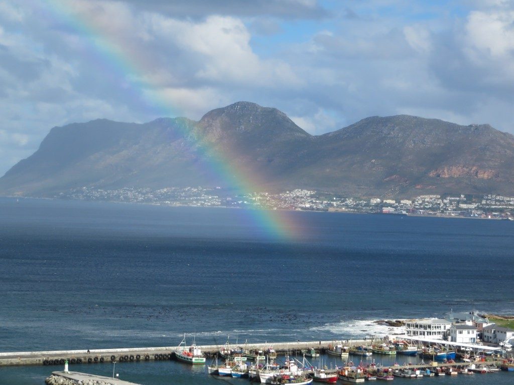 viewpoints in Cape Town 