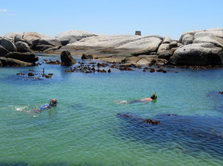 snorkeling spots in Cape Town