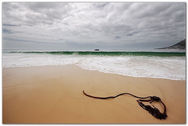 snorkeling spots in Cape Town