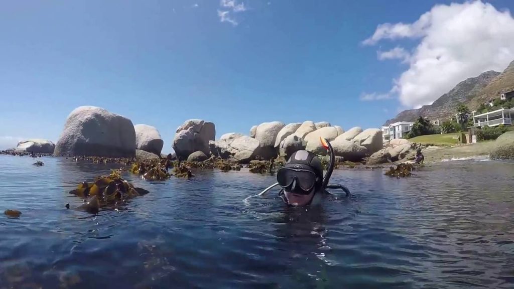 snorkeling spots in Cape Town