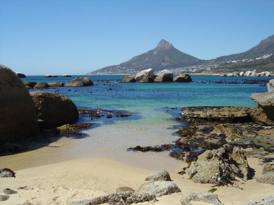snorkeling spots in Cape Town